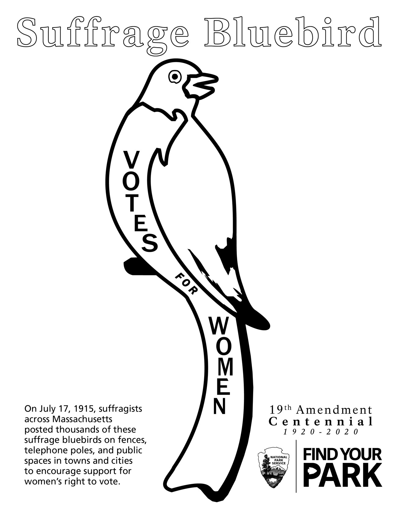line drawing of the Massachusetts suffrage bluebird suitable for coloring
