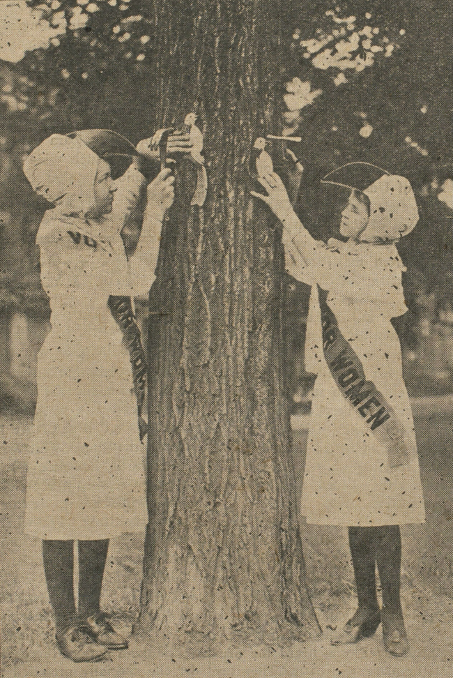 SuffrageBluebirds-WJvol46no32-7Aug1915 two girls dressed as bluebirds tack suffrage bluebirds onto a tree