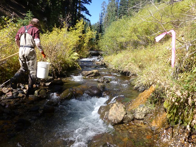 Sun Creek CRLA iron at 0.53 mg per L_960px Small stream in forest with yellowish water flowing into it from grassy bank.