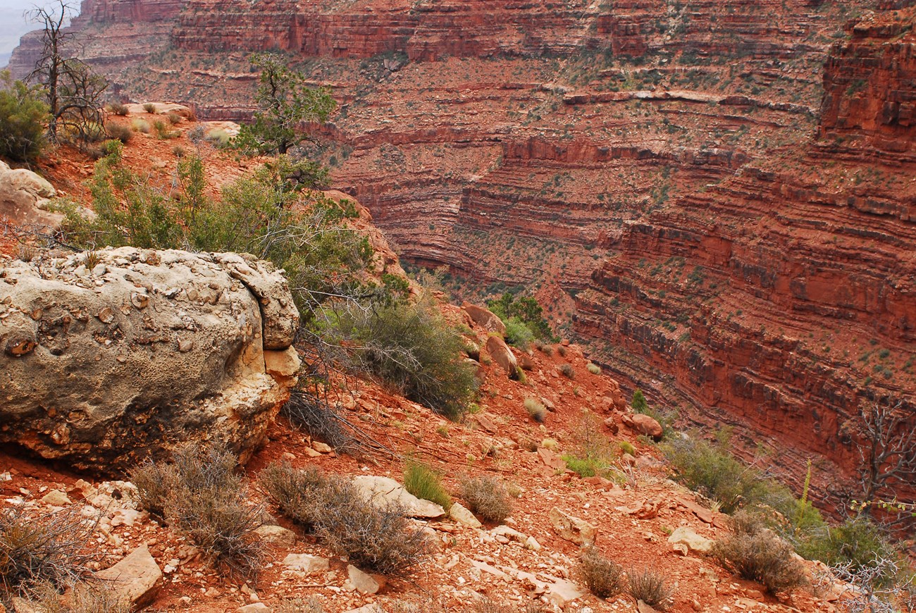 Photo of canyon with layered red sandstone and sitlstone.