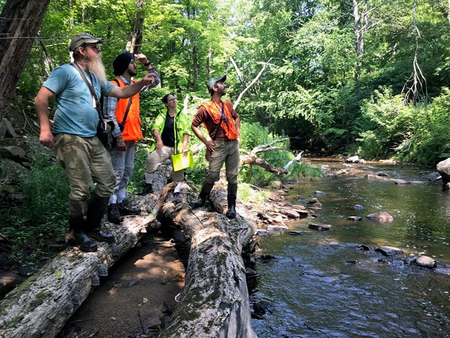 A group of people stand on the banks of a small stream surveying the area