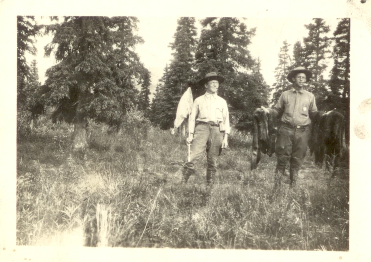Swisher #33 Lee Swisher wolf skins Frank Morand butterfly coll two men standing in a forest clearing holding butterfly nets