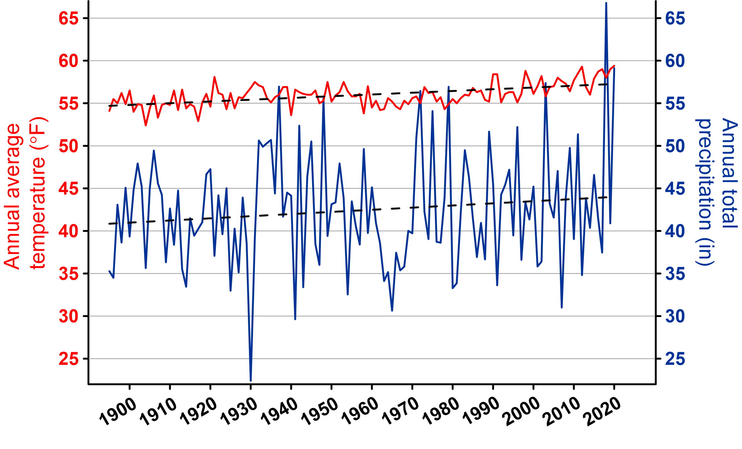 line graph of temperature and precipitation trends at THST in 2020