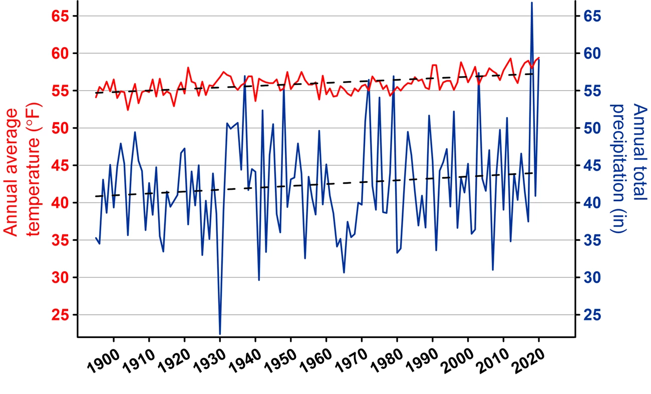 line graph of temperature and precipitation trends at THST in 2020
