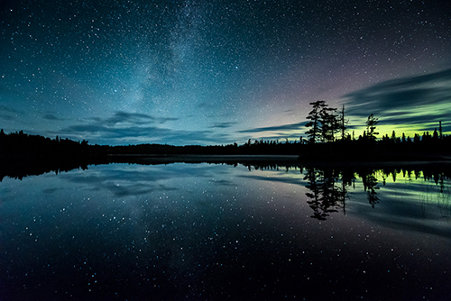 Starry Nights: Visions of the Night Sky — Wildling Museum