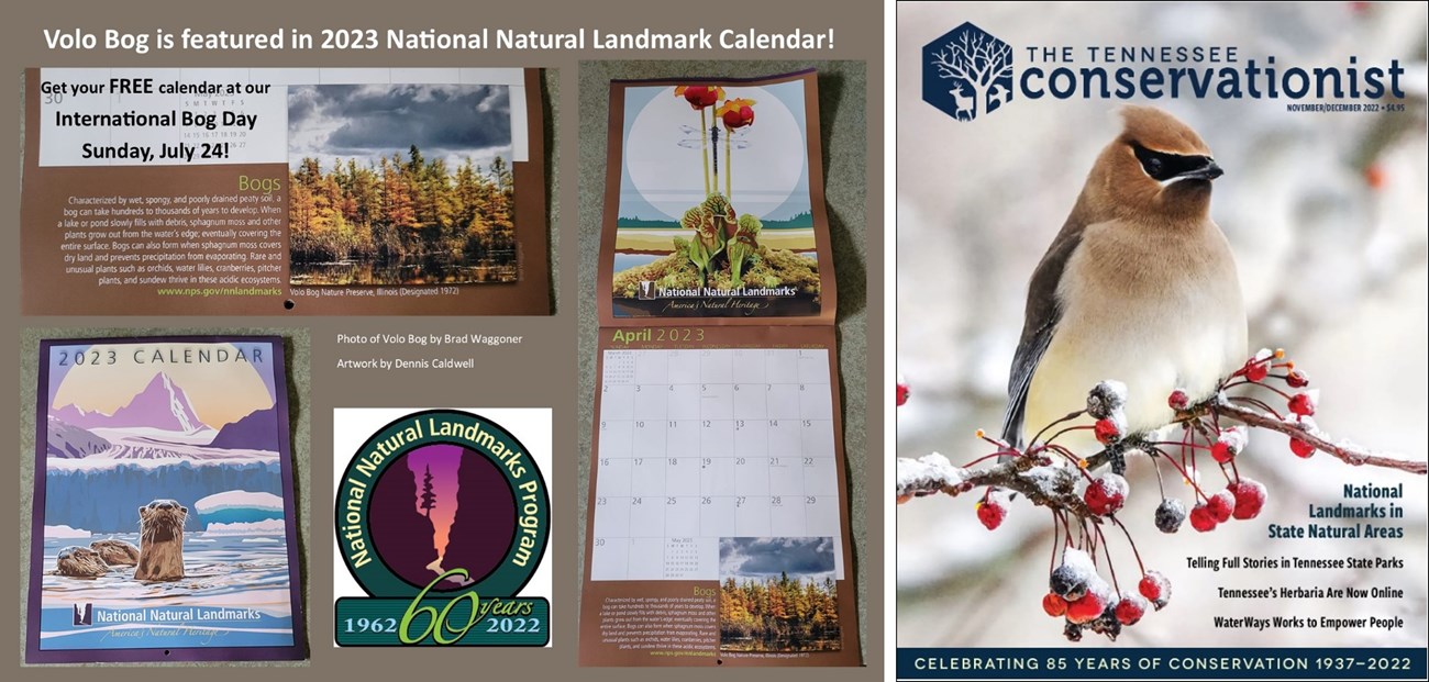 TN NNL magazine Volo Bog calendar collage of magazine and calendar images