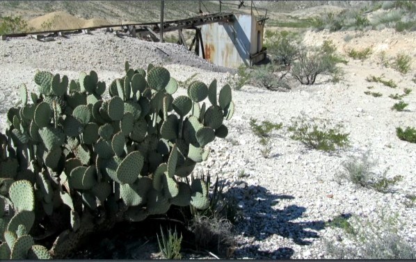 Image of a cactus in foreground and a relic from a mining operation in the background