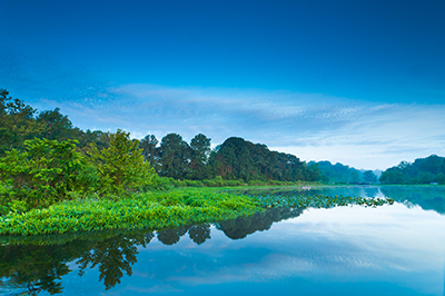 TSP_ScenicLake_MichaelCarter A body of water with green trees.