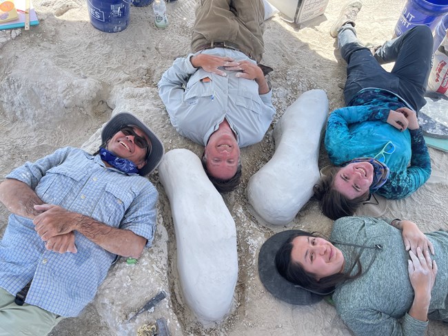 Four people laying on the ground next to two bones.