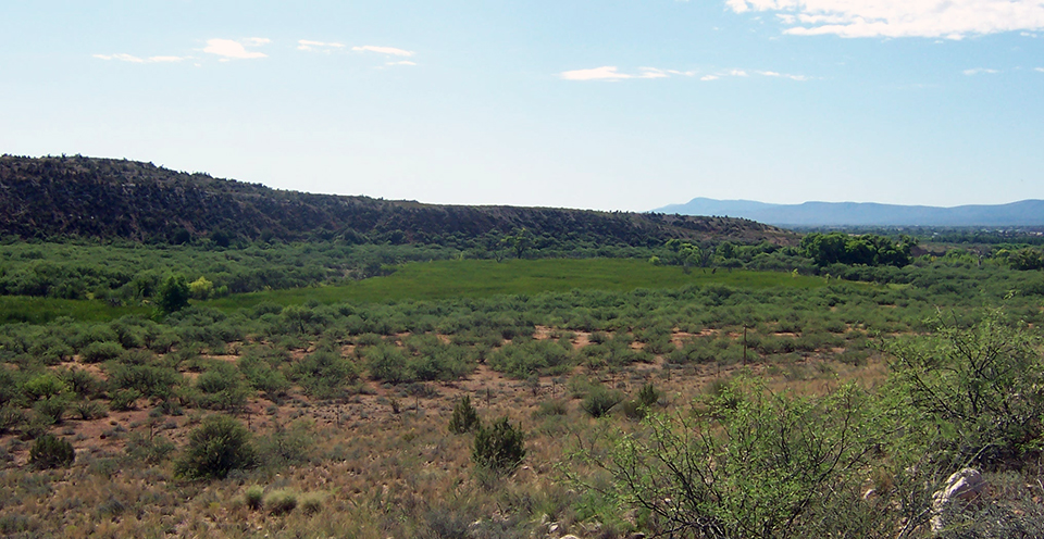 A bright green patch of plants in the distance defining a marsh area surrounded by desert shrubs in a valley between low hills and blue mountains in the distance.