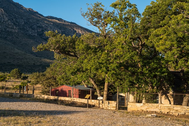 Frijole Ranch at Sunset across a gravel drive a stone wall defines a ranging compound with trees, a red frame building, and a stone house.
