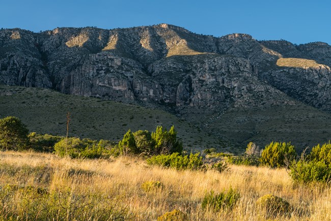 The eastern Escarpment A long ridge of desert mountains rises above the desert floor.