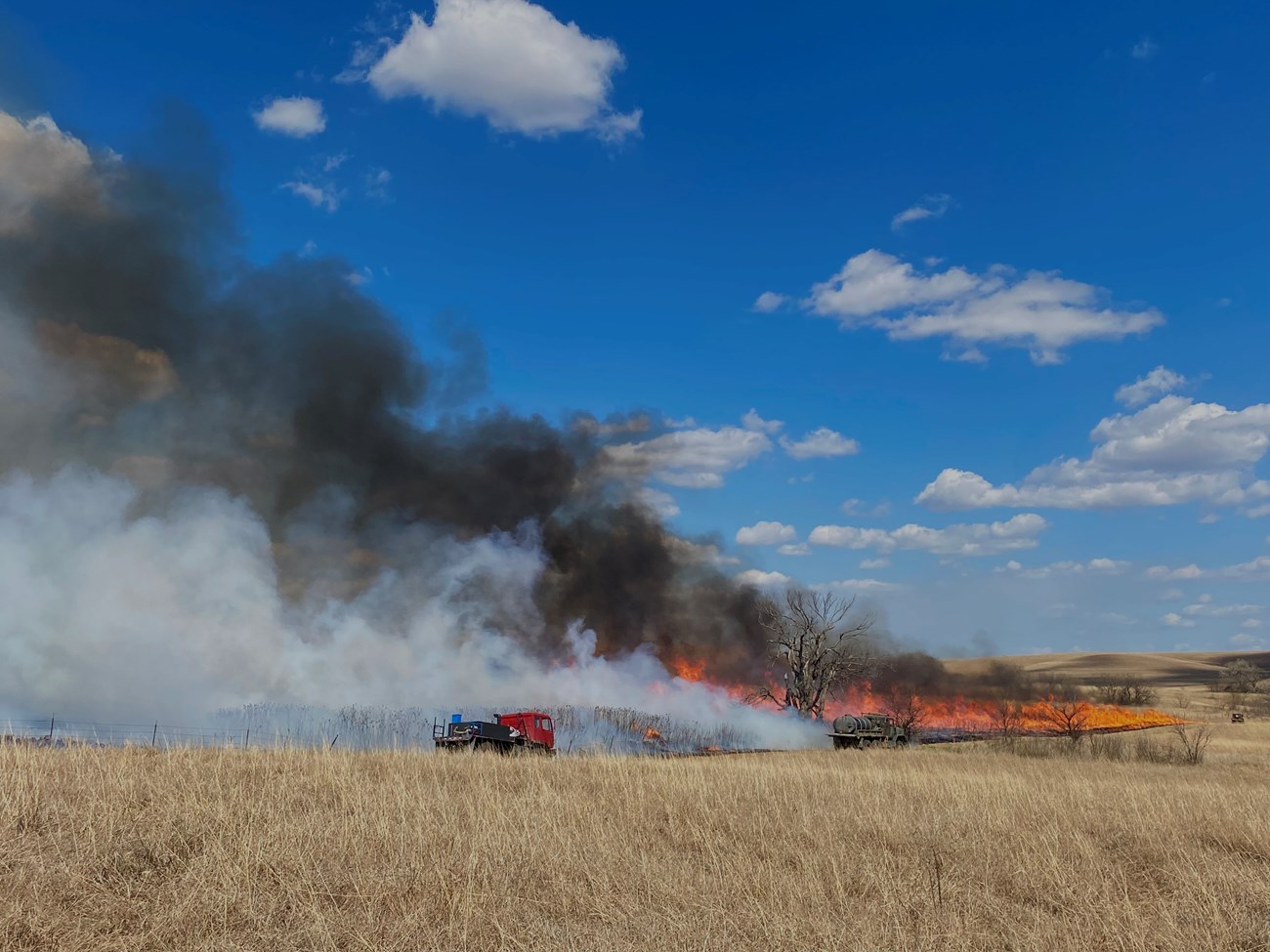 Tallgrass Burn A fire burns across a grassland; a fire vehicle sits nearby.