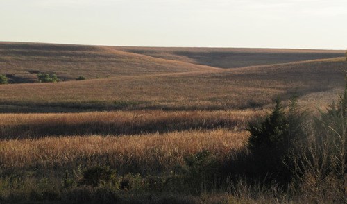 Sunset falls across the beautiful Flint Hills with tall grasses showing on the hill