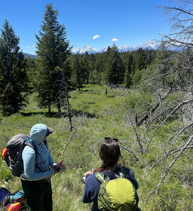 Two crewmembers in an open area near a forest.