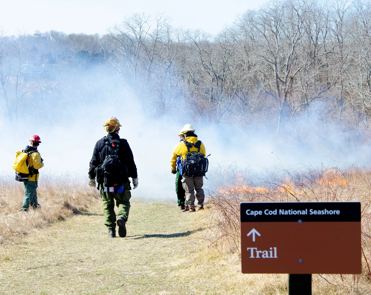 Firefighters observe a prescribed fire. A group of wildland firefighters observe a prescribed burn next to a trail. In the foreground is a Cape Cod National Seashore trail sign