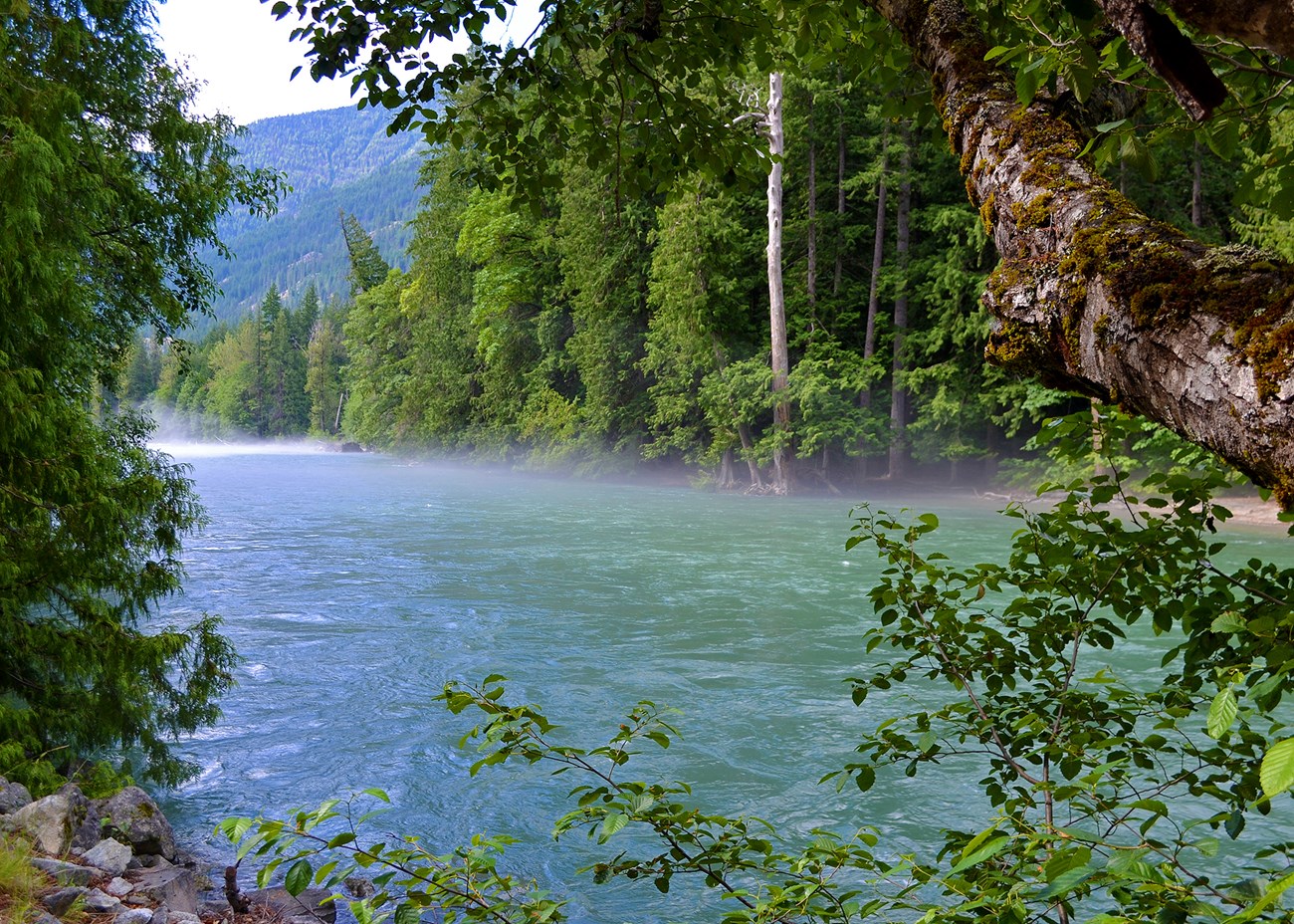 A river surrounded by mountains and lush forest