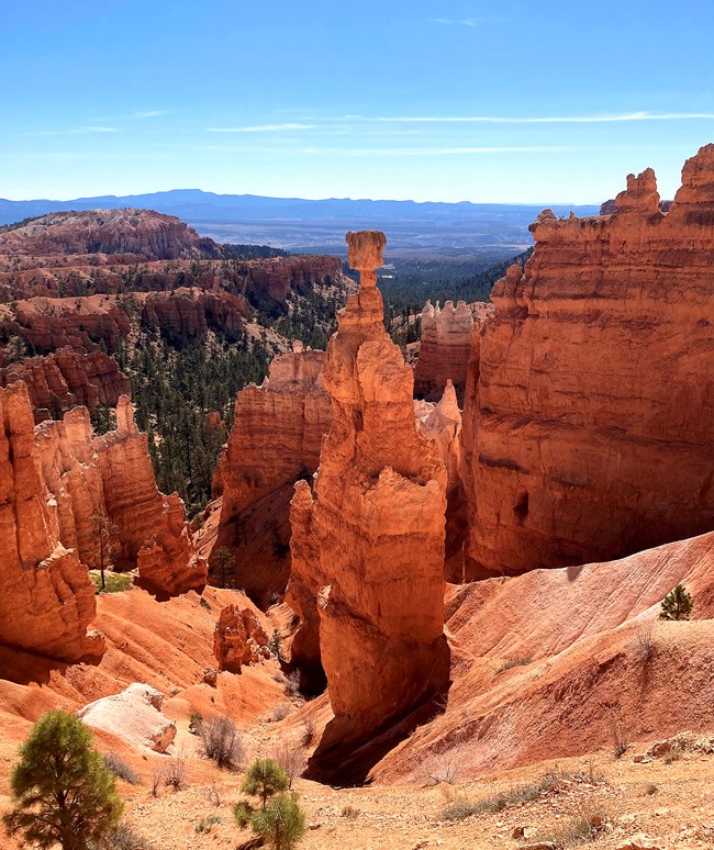 An irregularly shaped red rock formation rises from a surreal landscape of similar structures. Green evergreen trees are scattered throughout. There are distant blue mountains. The sky is a brilliant blue.
