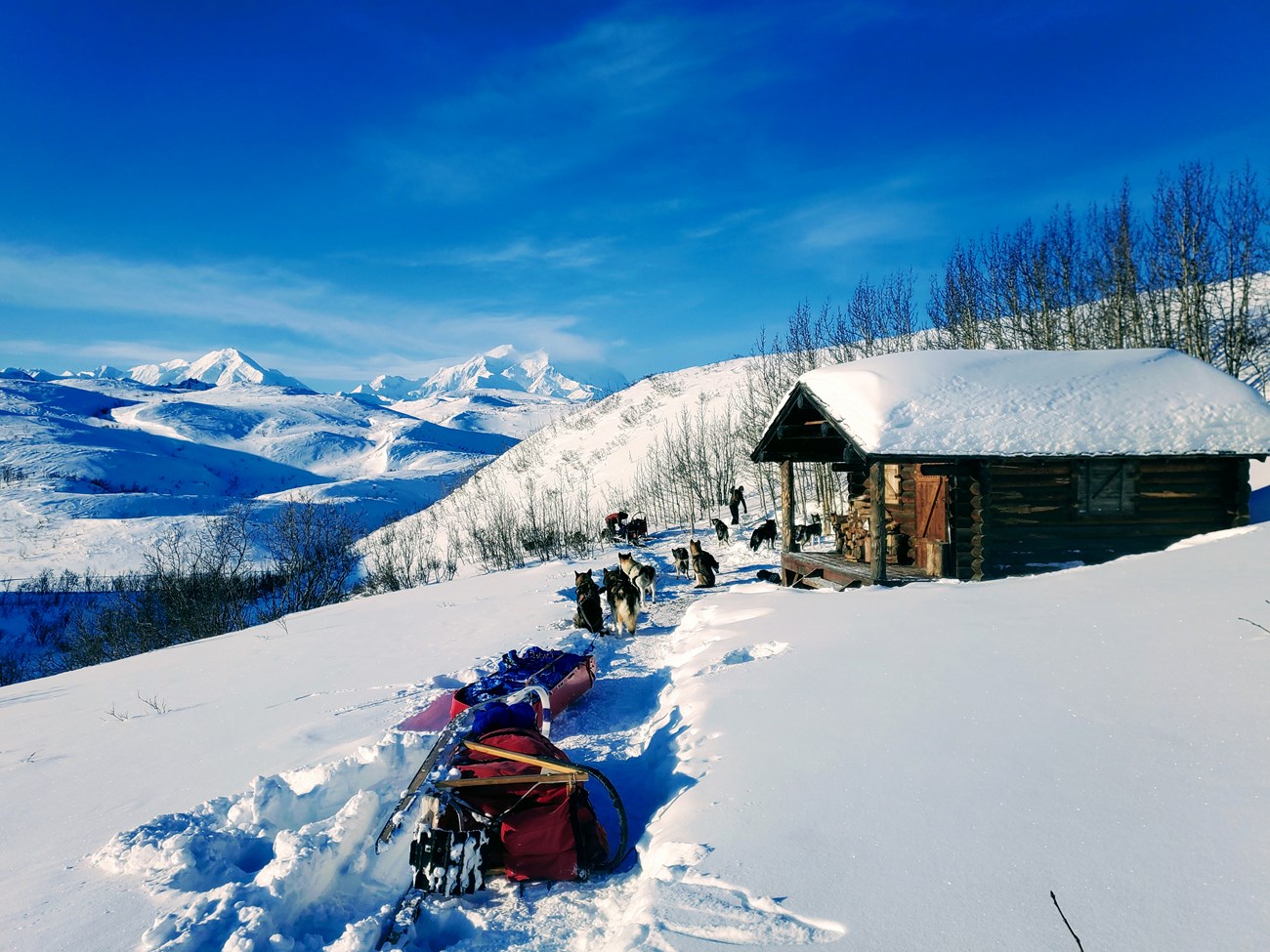 A team of sled dogs stands in a snow field in front of a log cabin. Snow-capped mountains are in the distance.