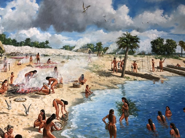 Lagoon Harvesting