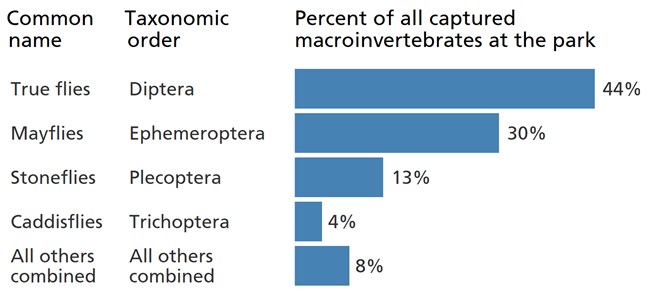 Blue bar chart showing the larvae of "true flies" are the most common macroinvertebrate in park streams.