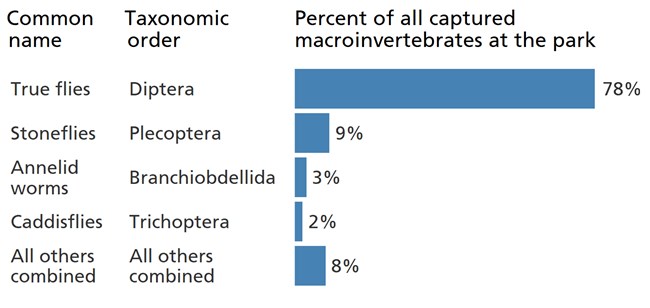 Blue bar chart showing the larvae of "true flies" are the most common macroinvertebrate in park streams.