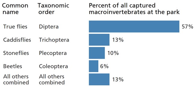 Blue bar chart showing the larvae of "true flies" are the most common macroinvertebrate in park streams.