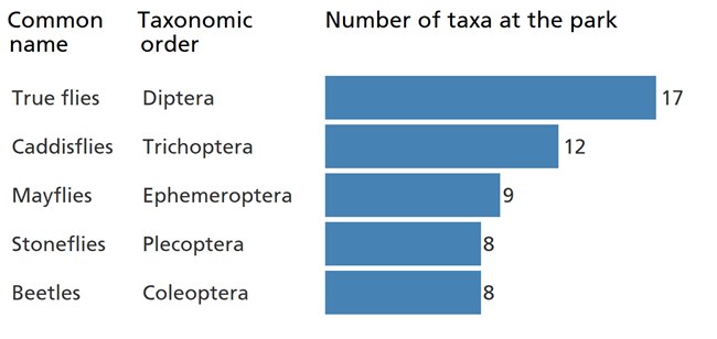 Blue bar chart showing that true flies are the most diverse group of benthic macroinvertebrates in the park.