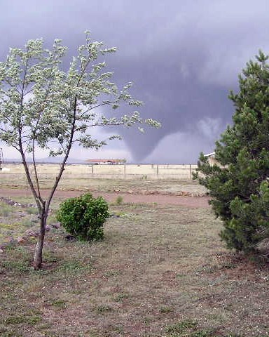 Tornado tornado beyond a building and some trees in the open grassland.