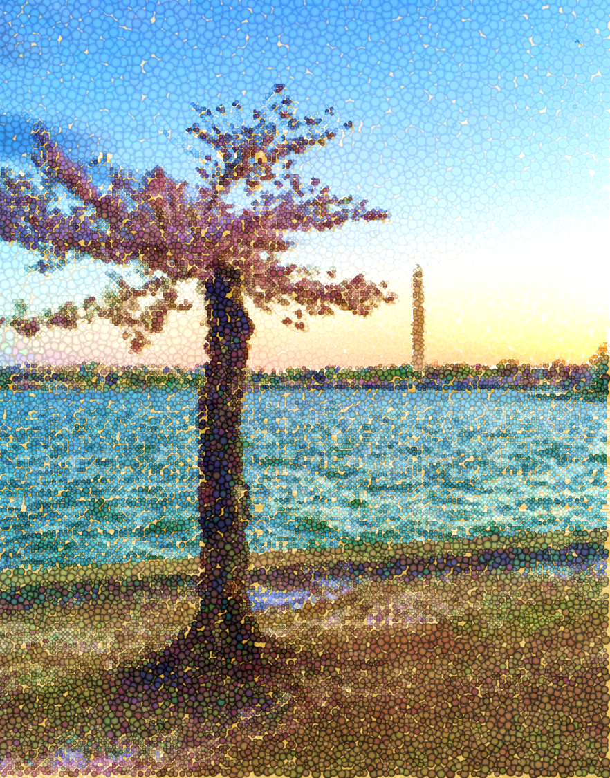 Tree-with-broken-branch Illustration of a cherry blossom tree next to water with the Washington Monument in the distance