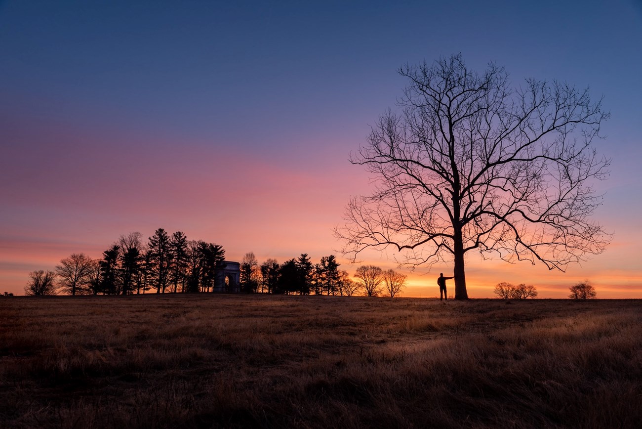 Trees at Sunset trees and the national memorial arch are silhouetted on the horizon in front of a blazing sunset. a person stands in the foreground with an arm extended to a large branching tree