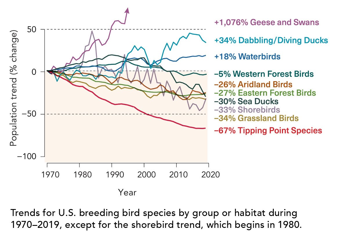 a graph showing trends for U.S. breeding species by group or habitat during 1970-2019