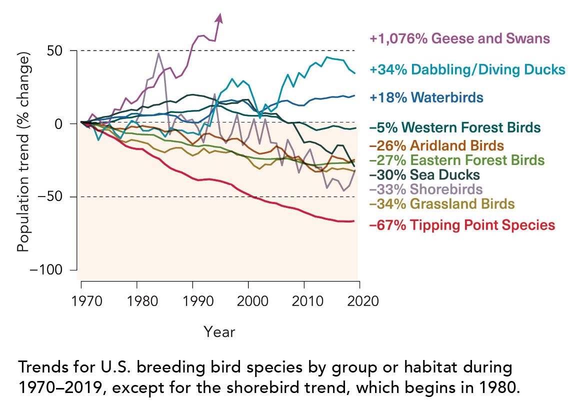 Trends at a Glance, 2022 U.S. State of the Birds Report, Courtesy of Cornell Lab of Ornithology a graph showing trends for U.S. breeding species by group or habitat during 1970-2019