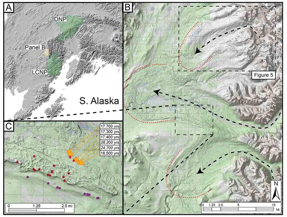 A three-part figure showing a map of sampling locations, a zoom into one site, and another zoom into the map of glacier termina.