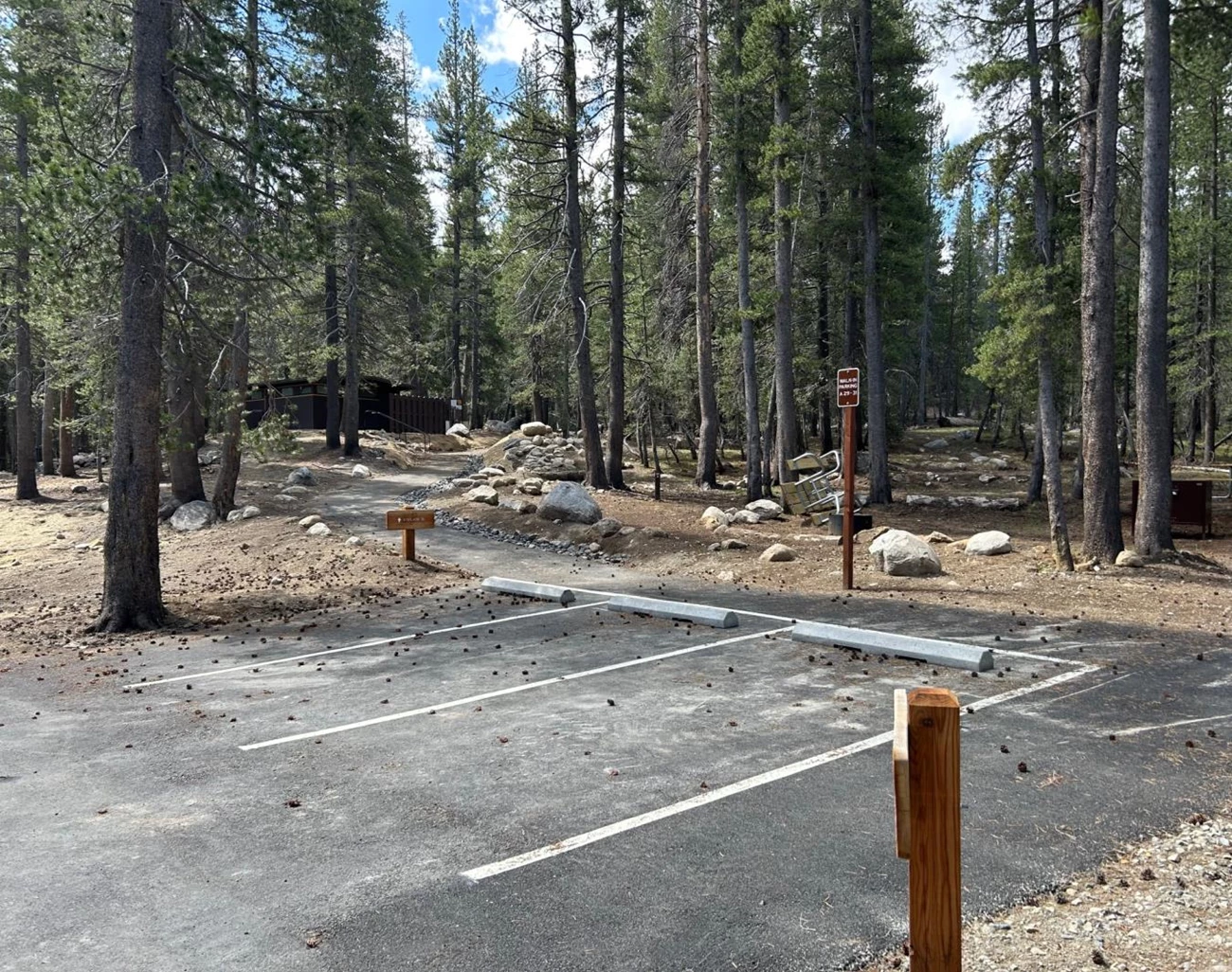 Tuolumne Meadows Campground new walk-in site (2025) Forested parking area and path adjacent