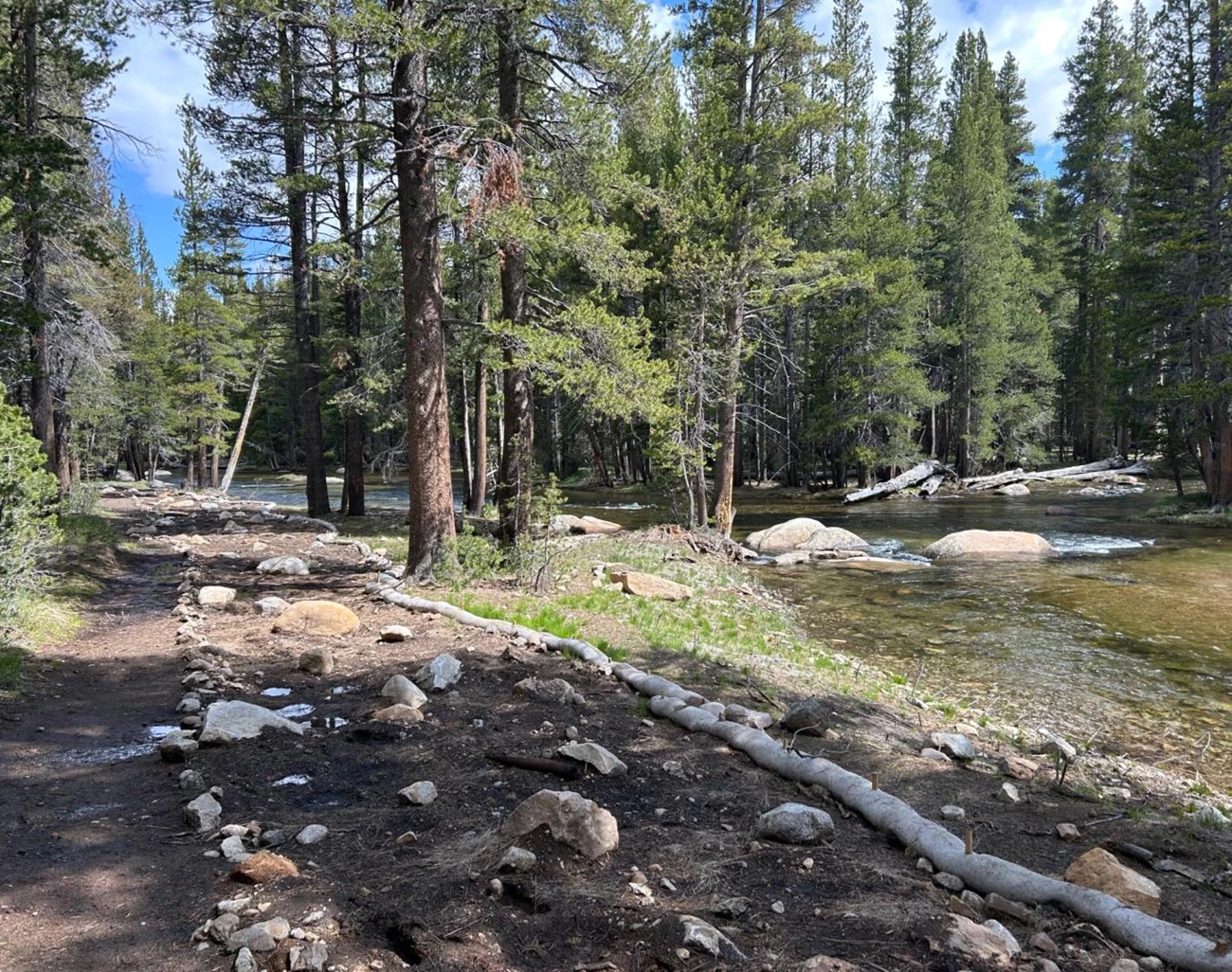 Tuolumne Meadows Campground Old A-Loop Road converted to footbath (2025) Forested pathway along a river