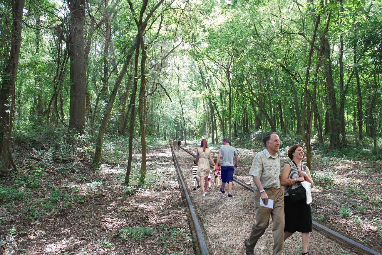lt= People walk down a trail through the forest.