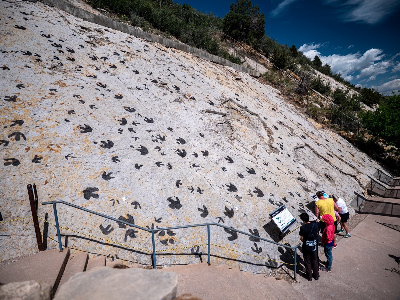 Photograph of hundreds of 3-toed dinosaur tracks on light colored sandstone. Tracks have been darkened with charcoal dust so they appear dark gray. Photograph of hundreds of 3-toed dinosaur tracks on light colored sandstone. Tracks have been darkened with charcoal dust so they appear dark gray.