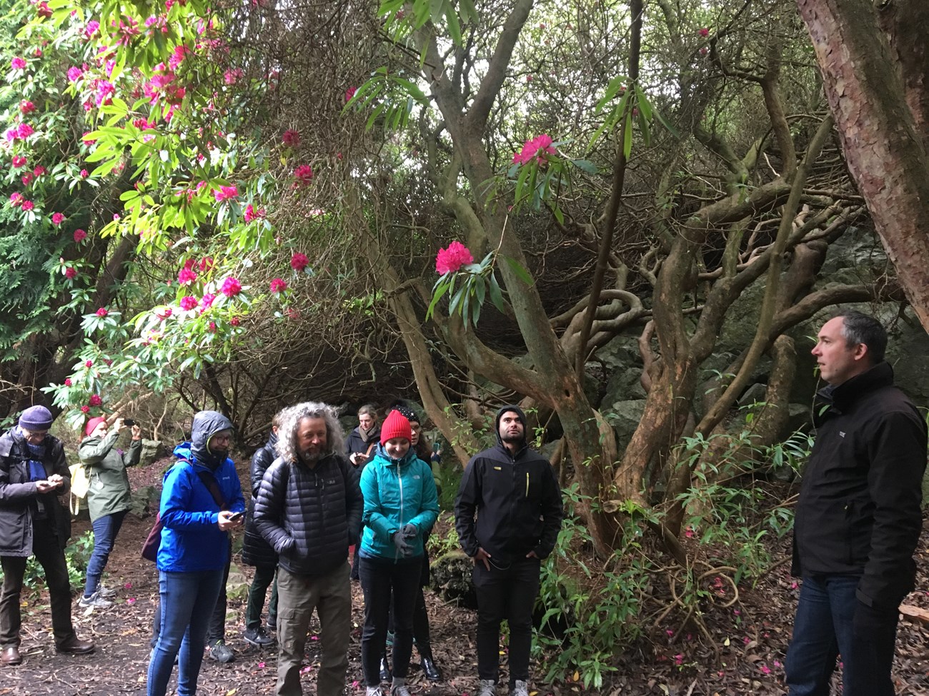 group of people stand in temperate forest with pink flowers