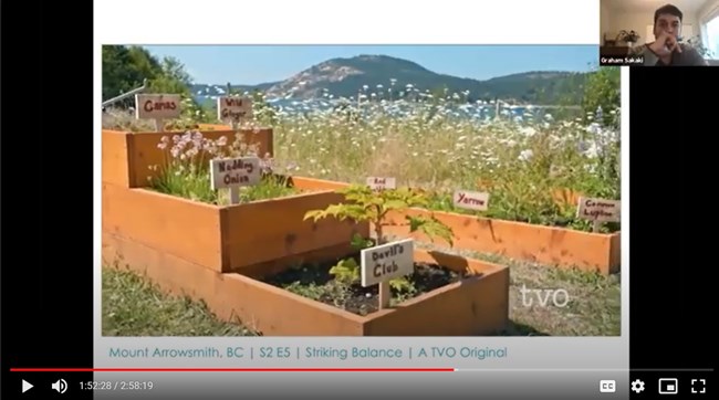 Mt Arrowsmith Biosphere Region labeled plants in raised beds with huge mountains in the background