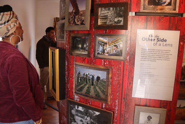 person looks at museum display of framed photographs