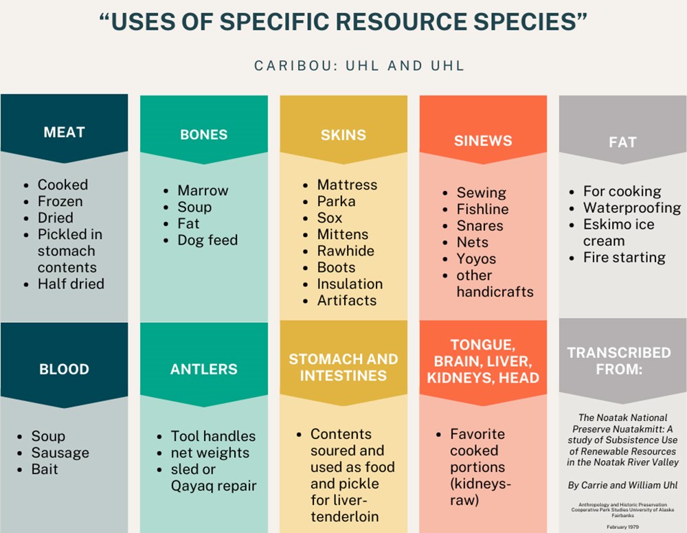 Uhl and Uhl Caribou Uses Update_web A graphic showing the different parts of a caribou and how they are used.