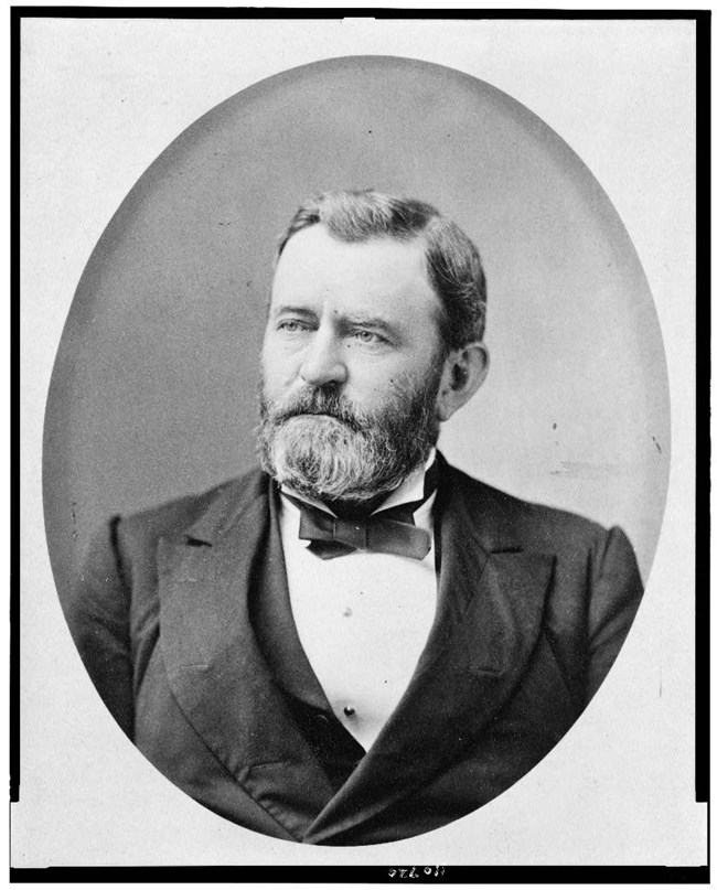 Bearded man wearing suit with bow tie.