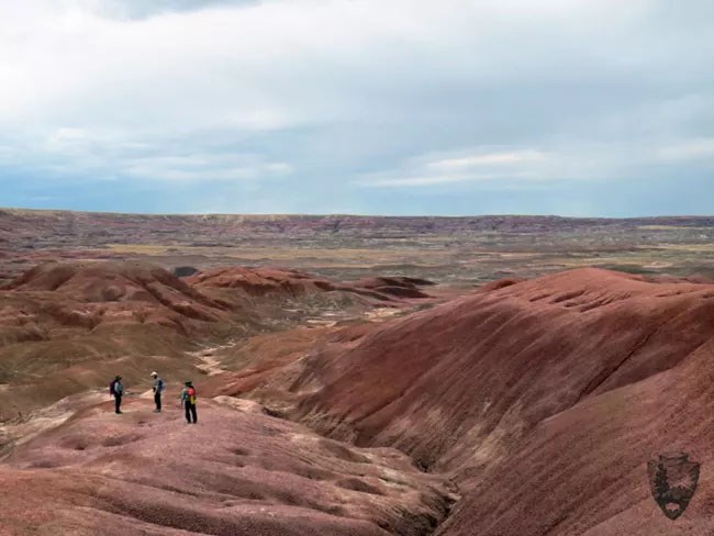 Red landscape