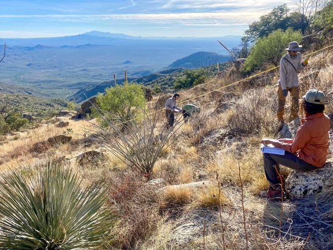 Three people measure out a plot of land on a slope and take notes.