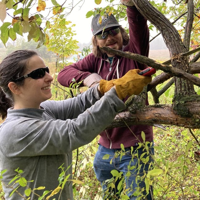 Two people in gloves and safety glasses smile while cutting thick vines in a wooded area. Two people in gloves and safety glasses smile while cutting thick vines in a wooded area.