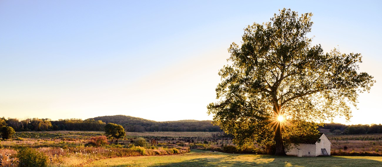Sunset at Valley Forge