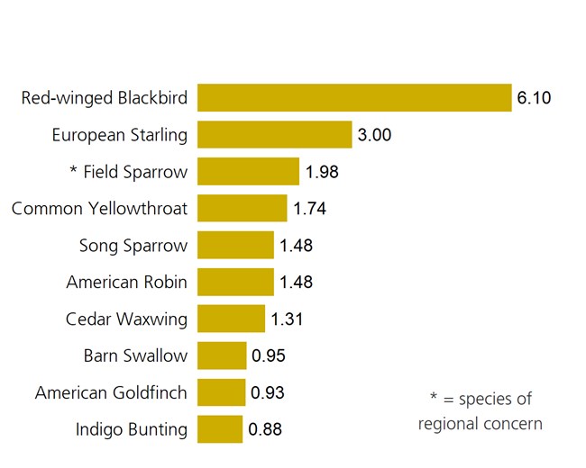 Yellow bar plot of the ten most abundant birds in grassland sites.