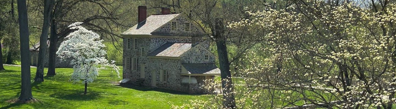 A stone house with white blooming dogwood trees in the yard.