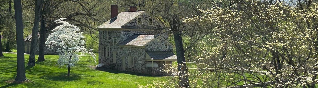 A stone house with white blooming dogwood trees in the yard. A stone house with white blooming dogwood trees in the yard.